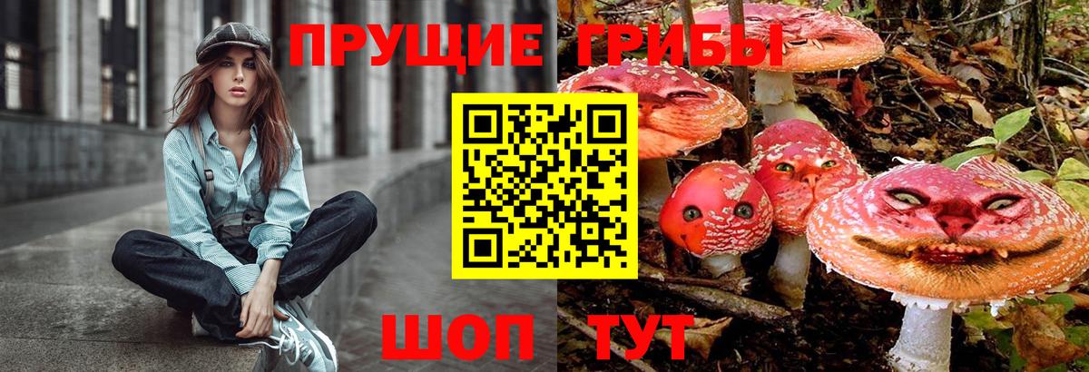 купить  цена  Псилоцибиновые грибы Magic Shrooms  Псилоцибиновые грибы прущие грибы  Вход с VPN  Людиново 