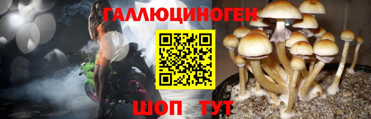 Псилоцибиновые грибы мухоморы Людиново